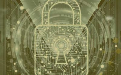 LGPD: sua empresa está em conformidade com a lei?