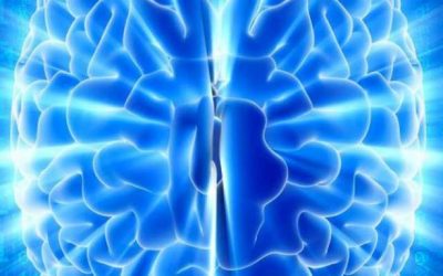 Machine Learning: confira suas principais vantagens